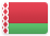 Belarus country flag